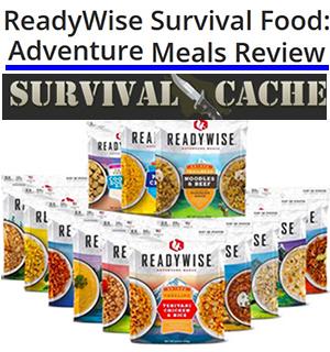 Readywise-review-link